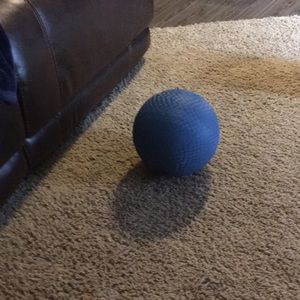 Meet your Posher, Rosa